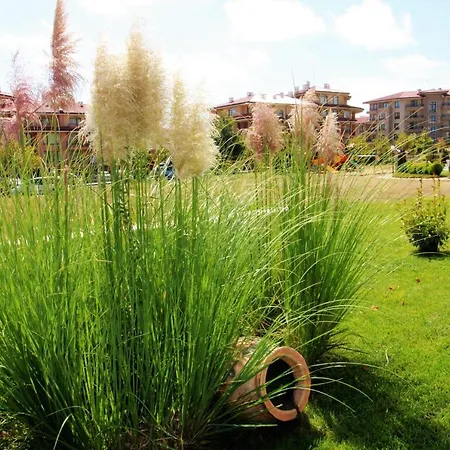 Sorrento - Menada Apartment