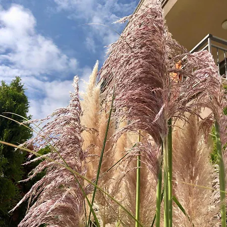 Sorrento - Menada Apartment Sveti Vlas