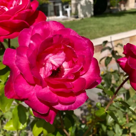 Sorrento - Menada Sveti Vlas