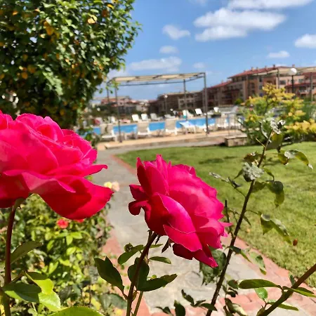 Apartment Sorrento - Menada *