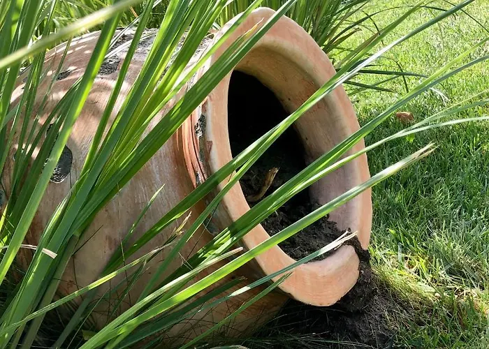 Sorrento - Menada Свети Влас