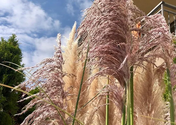 Sorrento - Menada Апартамент Свети Влас